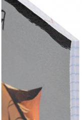 Набор тетрадей предметных - Фото 4