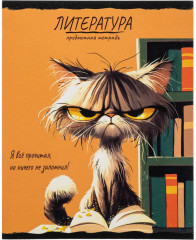 Набор тетрадей предметных - Фото 11