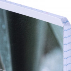 Тетрадь общая «Botanica» - Фото 2