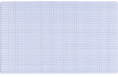 Тетрадь общая «Botanica» - Фото 5