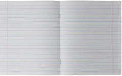 Комплект тетрадей школьных - Фото 5