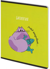 Тетрадь предметная «Котики» - Фото 1