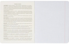 Тетрадь предметная «Котики» - Фото 4