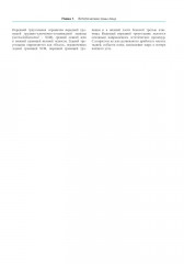 Анатомия лица в эстетической медицине - Фото 7