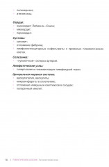 Ревматические болезни. Гистологический атлас - Фото 5