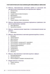 Гистологическая диагностика инвазивных микозов - Фото 4