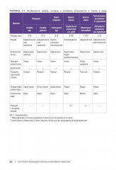 Гистологическая диагностика инвазивных микозов - Фото 5