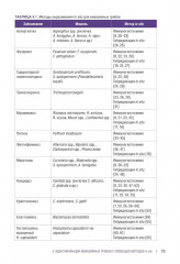 Гистологическая диагностика инвазивных микозов - Фото 8