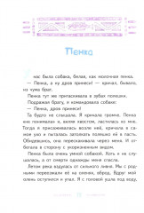 Игра в камешки - Фото 10
