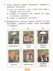 Окружающий мир. 2 класс. Тесты. Часть 2 - Фото 5