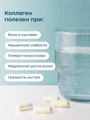Коллаген с витамином С и МСМ (II типа) - Фото 2
