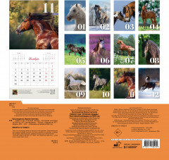 Календарь настенный на 2026 год «Огненная лошадь» - Фото 1