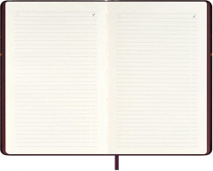 Ежедневник недатированный - Фото 11