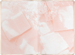 Записная книга учителя «Рукопись» - Фото 3