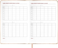 Записная книга учителя «Рукопись» - Фото 8