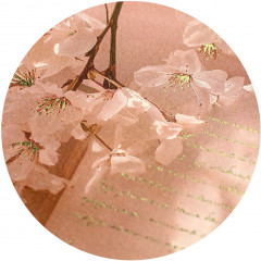 Записная книга учителя «Рукопись» - Фото 27