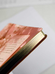 Записная книга учителя «Рукопись» - Фото 32