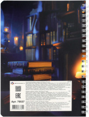 Дневник читательский «Кот с книгой» - Фото 10