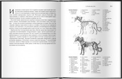 Химера - Фото 3