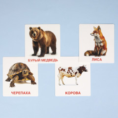 Игра обучающая «Животный мир» - Фото 4