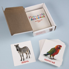 Игра обучающая «Животный мир» - Фото 5