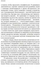 Загадка Денисовского человека. Потерянное звено в истории человечества - Фото 4