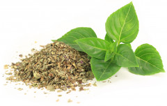 Базилик сушеный - Фото 1
