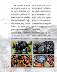 Черное море. Жизнь и судьба - Фото 7