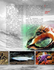 Черное море. Жизнь и судьба - Фото 10