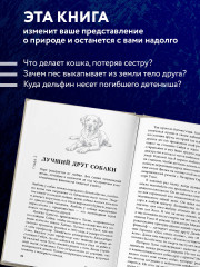 Как животные скорбят. Что чувствуют кошки, слоны, дельфины и другие, теряя близких - Фото 1