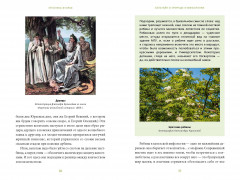 Зачарованный сад. Майское дерево, цветок папоротника и другие легенды о растениях - Фото 6