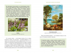 Зачарованный сад. Майское дерево, цветок папоротника и другие легенды о растениях - Фото 8