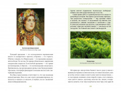 Зачарованный сад. Майское дерево, цветок папоротника и другие легенды о растениях - Фото 9