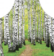 Фартук для кухни «Березовая роща» - Фото 1