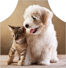 Фартук для кухни «Весело смотрят» - Фото 1