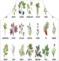 Фартук для кухни «Лечебные травы» - Фото 1