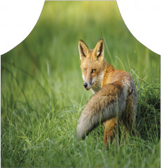 Фартук для кухни «Лиса в траве» - Фото 1