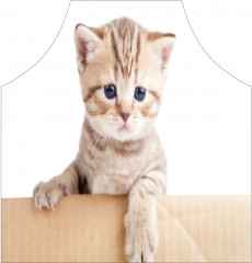 Фартук для кухни «Маленький котенок» - Фото 1