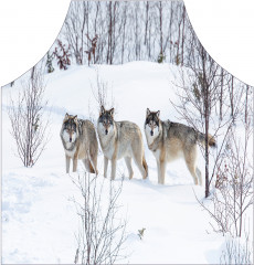 Фартук для кухни «Снежные волки» - Фото 1