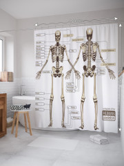 Штора для ванной с водоотталкивающей пропиткой «Анатомия человека» - Фото 1