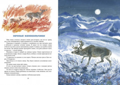 Ночные колокольчики - Фото 2