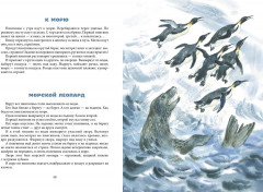 Ночные колокольчики - Фото 3