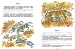 Ночные колокольчики - Фото 4