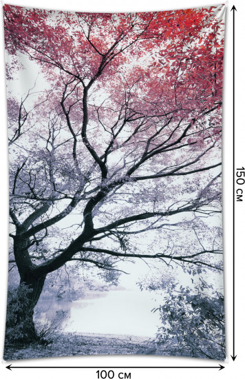 Фотопанно на стену «Дорога в древнем лесу»