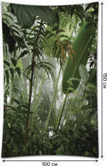 Фотопанно на стену «Заросли в джунглях» - Фото 1