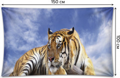 Фотопанно на стену «Задумчивый тигр» - Фото 1