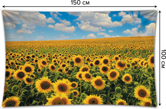 Фотопанно на стену «Поле подсолнухов»