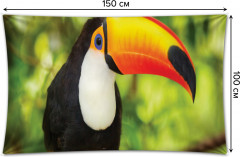 Фотопанно на стену «Токо тукан» - Фото 1
