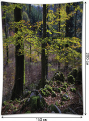 Фотопанно на стену «В густом лесу» - Фото 1