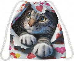 Сумка-мешок для обуви и вещей «Подарочный кот» - Фото 1